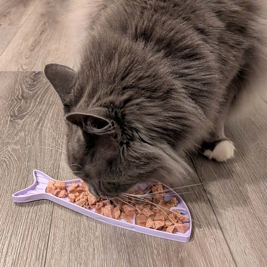 SodaPup Goldfish eMat Small Lick Mat for Cats