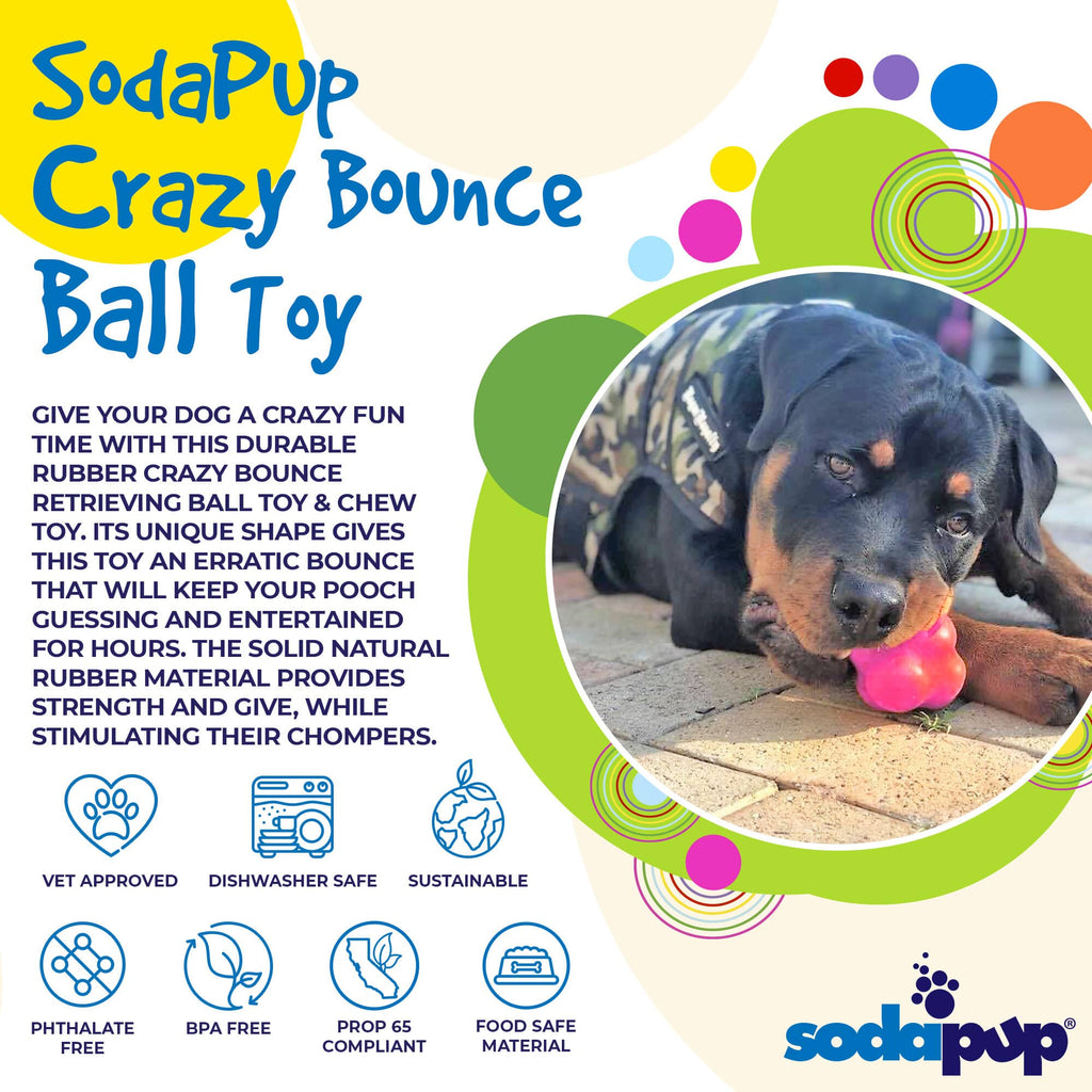 SodaPup Crazy Bounce Rubber Ball, Orange