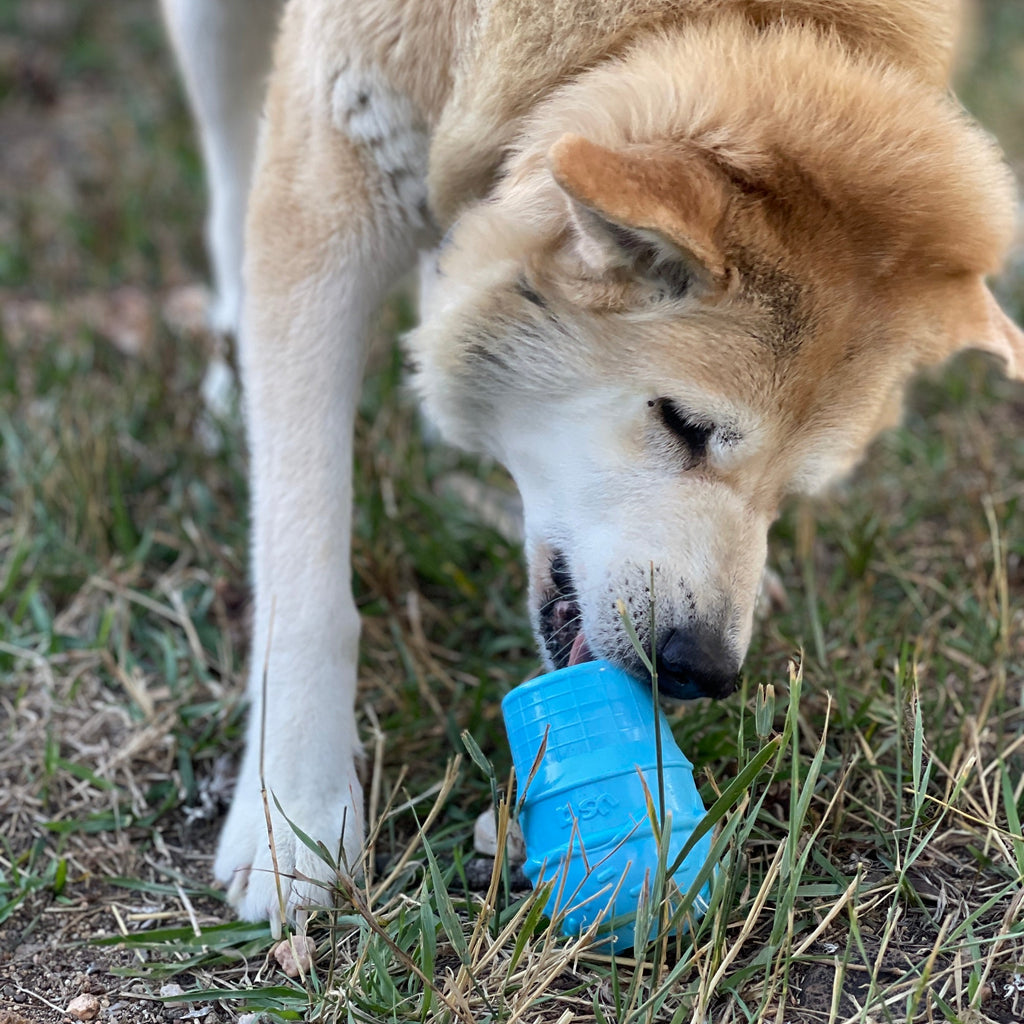 SodaPup Ice Cream Cone eDispenser Rubber Treat Toy