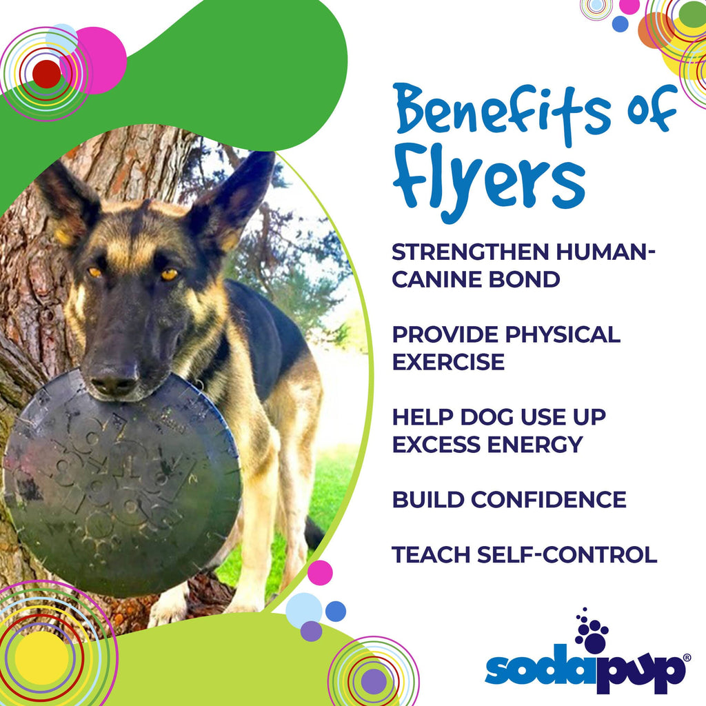 SodaPup Magnum Bottle Top Flyer Rubber Flying Disc