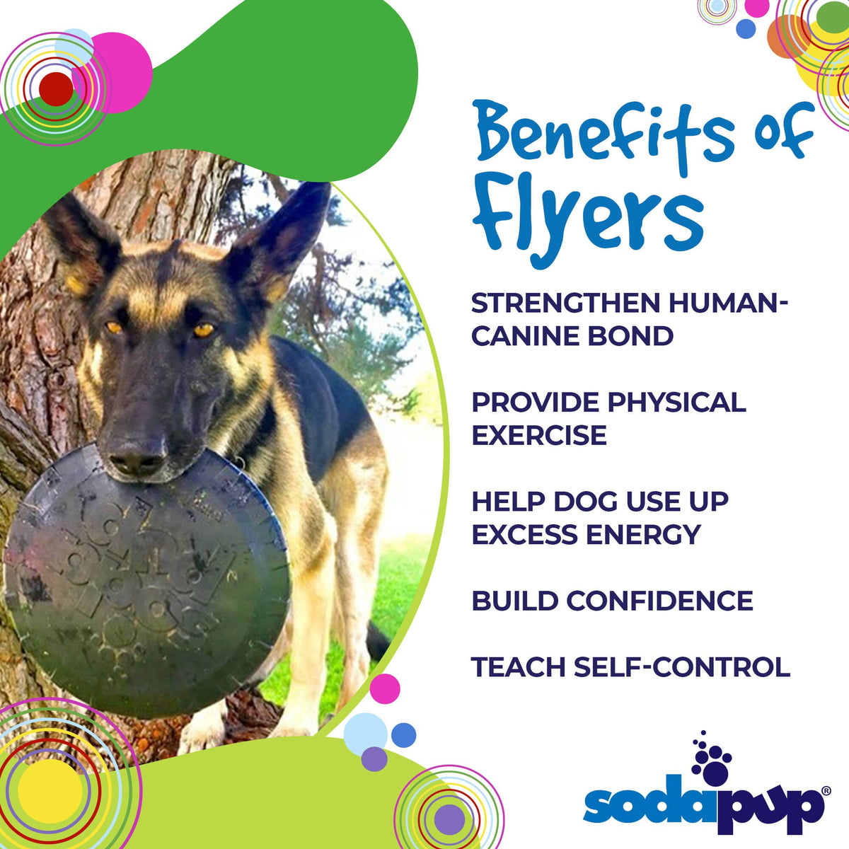 SodaPup Magnum Bottle Top Flyer Rubber Flying Disc