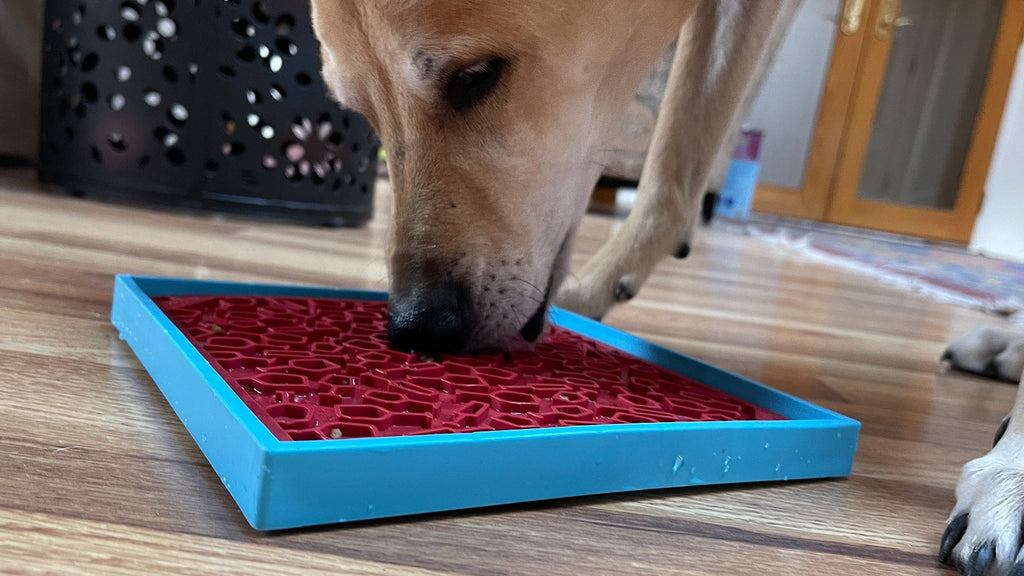 SodaPup Vino eMat Lick Mat for Dogs and Cats