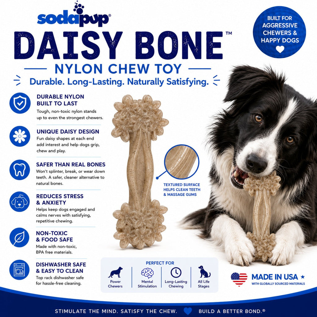 SodaPup Daisy Bone Nylon Chew Toy