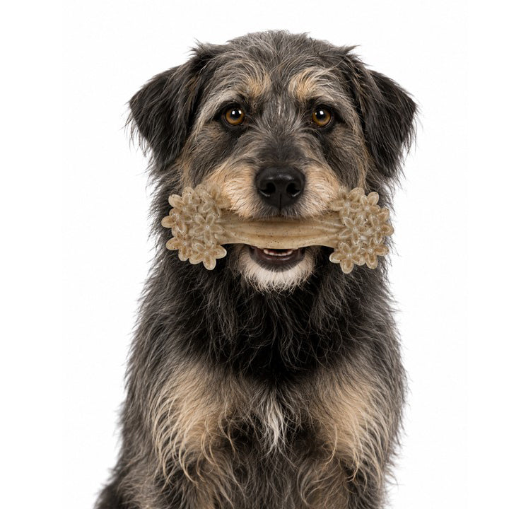 SodaPup Daisy Bone Nylon Chew Toy