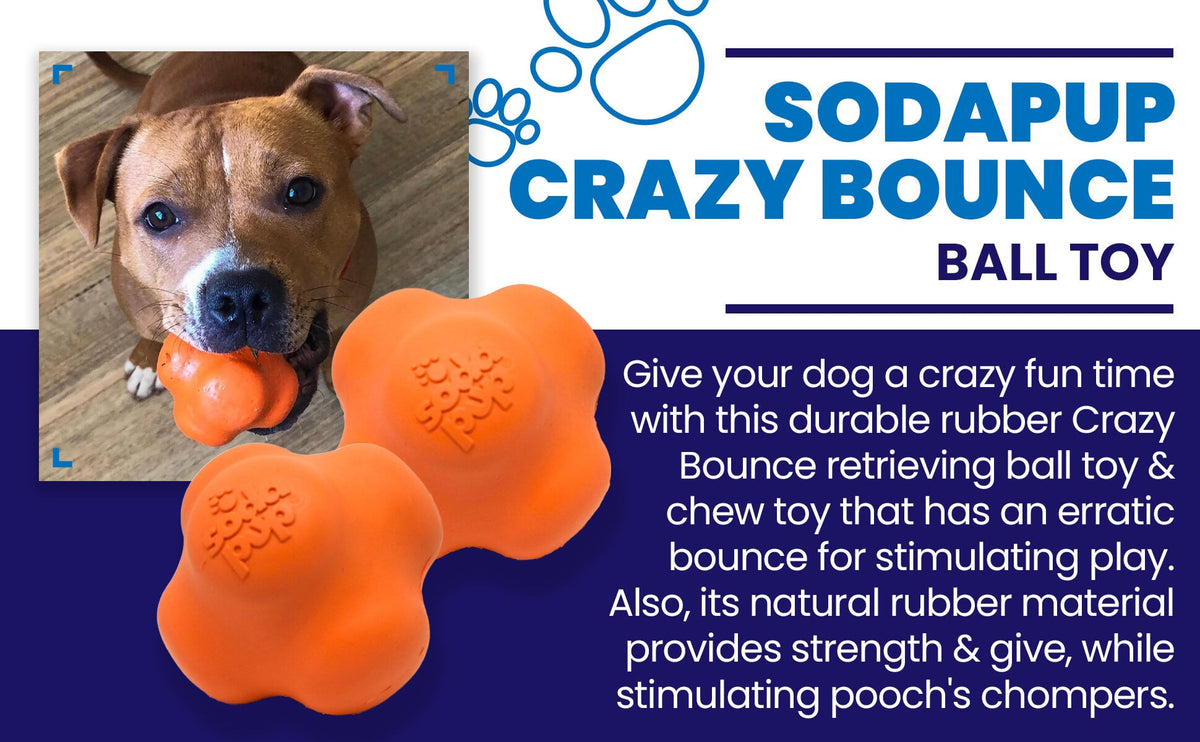 SodaPup Crazy Bounce Rubber Ball, Orange