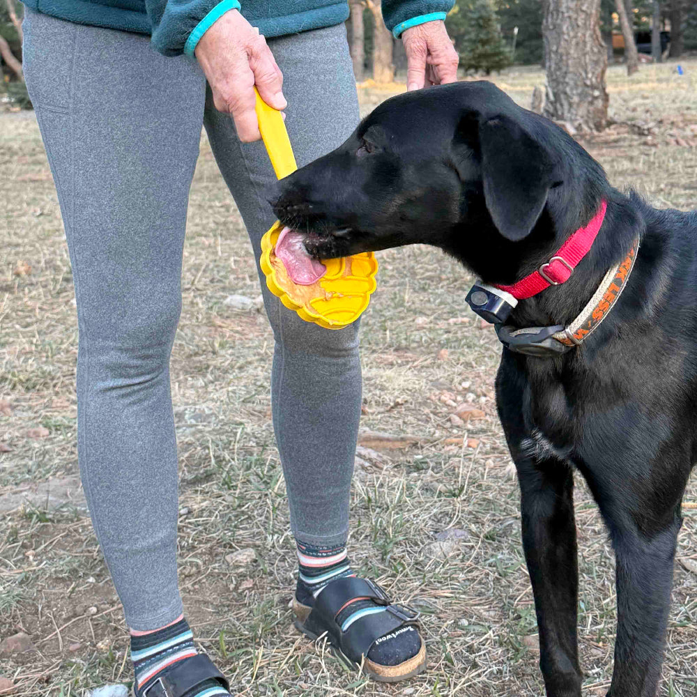 SodaPup eStick Hand-Held Lick Stick