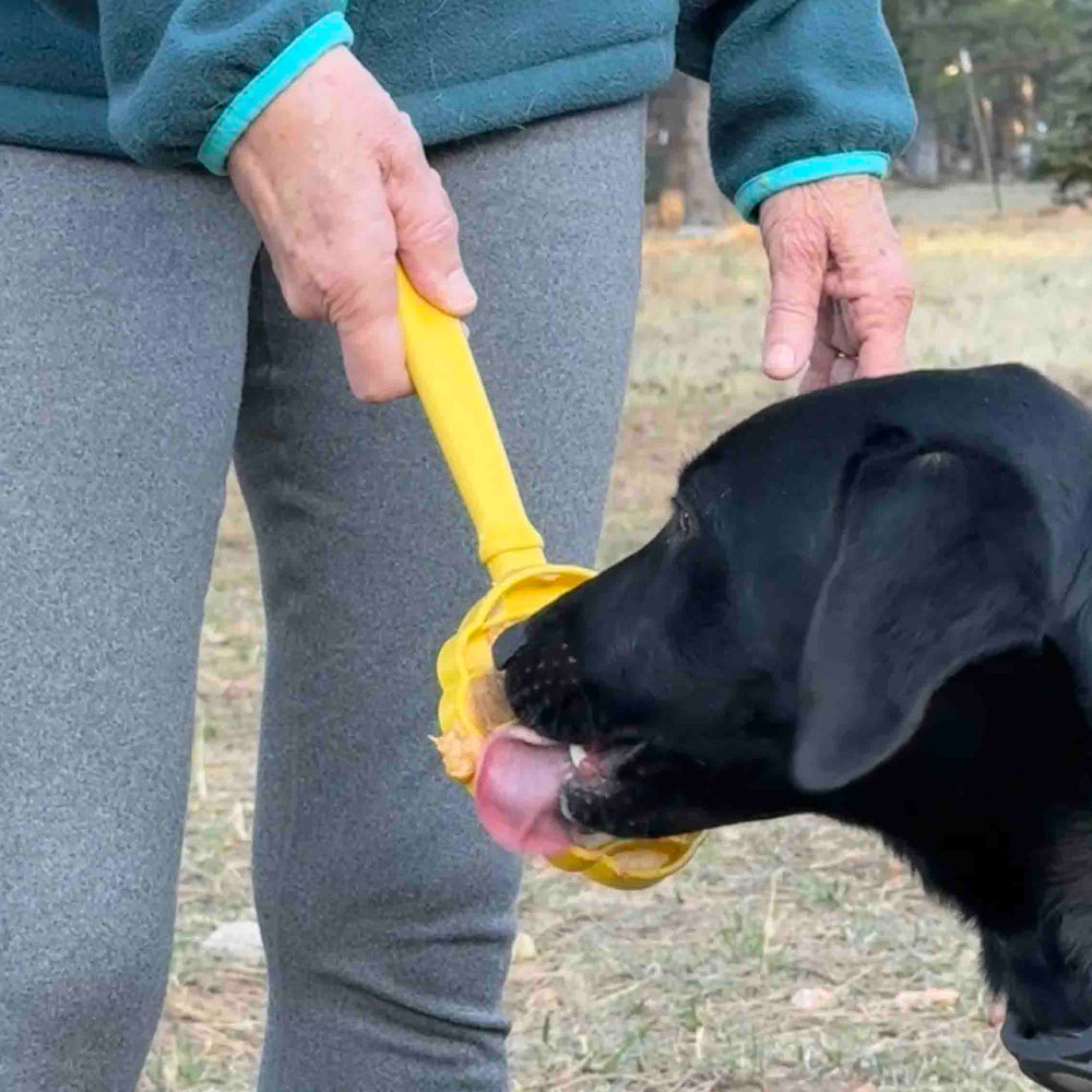 SodaPup eStick Hand-Held Lick Stick
