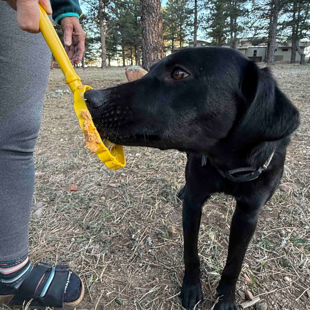 SodaPup eStick Hand-Held Lick Stick