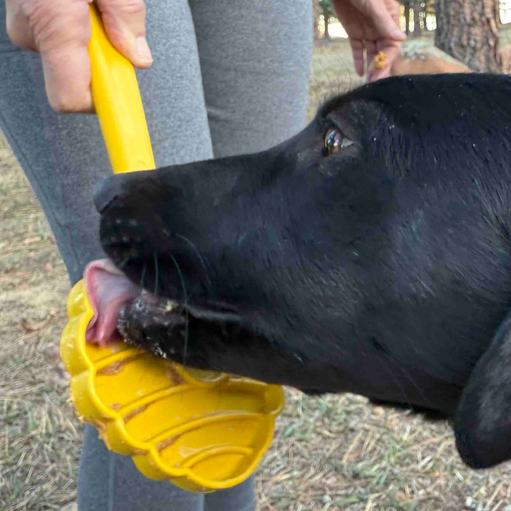 SodaPup eStick Hand-Held Lick Stick