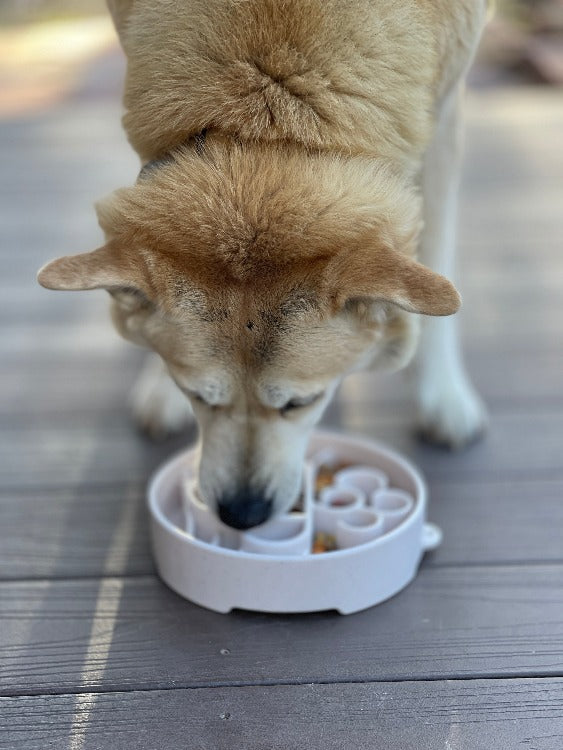 SodaPup Java eBowl Deep Slow Feeder Dog Bowl