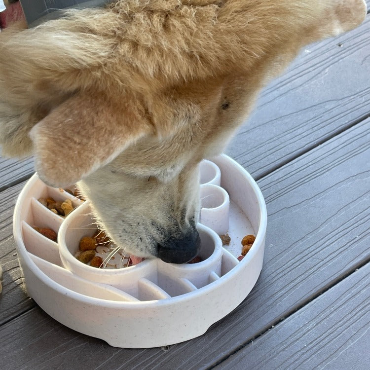 SodaPup Java eBowl Deep Slow Feeder Dog Bowl