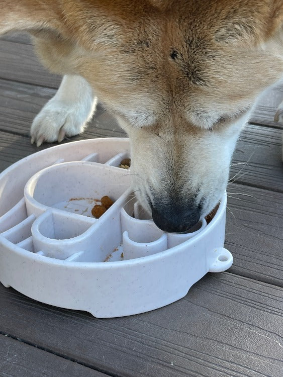 SodaPup Java eBowl Deep Slow Feeder Dog Bowl