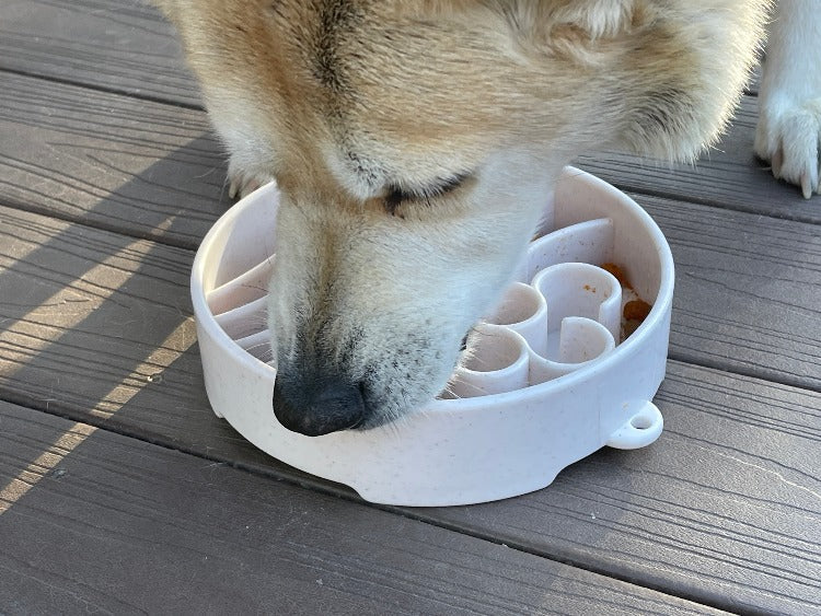 SodaPup Java eBowl Deep Slow Feeder Dog Bowl