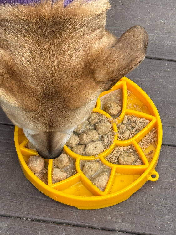 SodaPup Sunflower eTray Shallow Slow Feeder