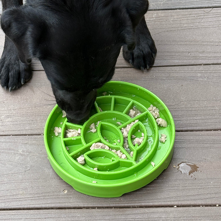 SodaPup Garden eTray Shallow Slow Feeder