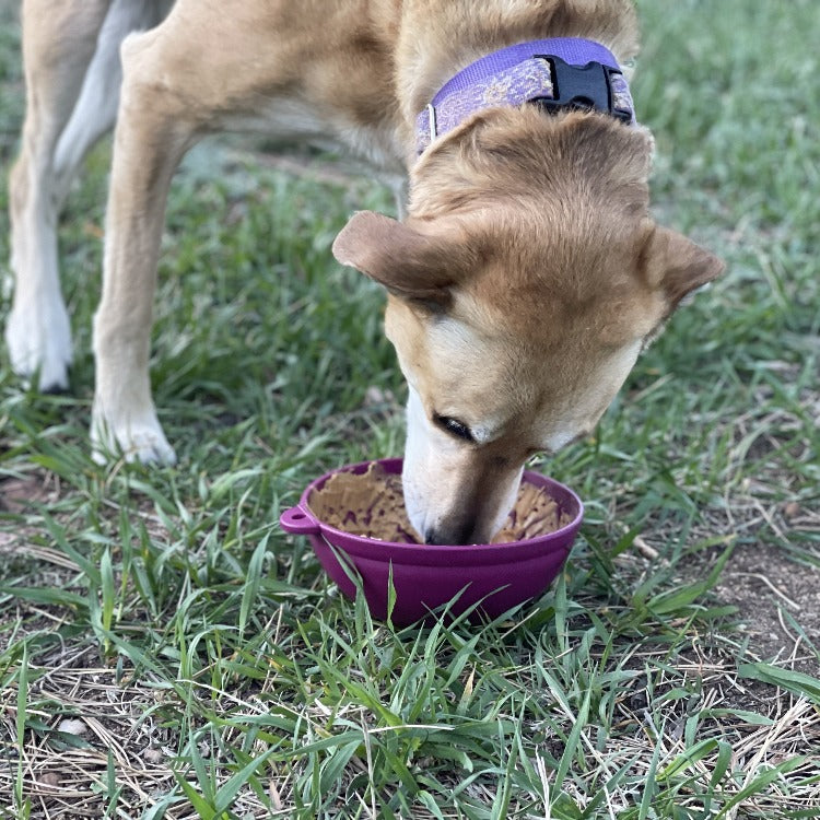 SodaPup Garden of Eatin' Tipsy Bowl Wobble Lick Mat