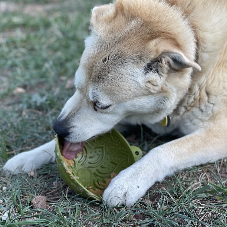 SodaPup Garden of Eatin' Tipsy Bowl Wobble Lick Mat