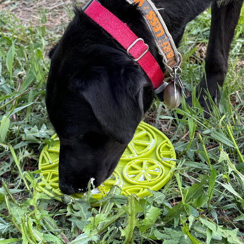 SodaPup Citrus eMat Lick Mat with Suction Cups