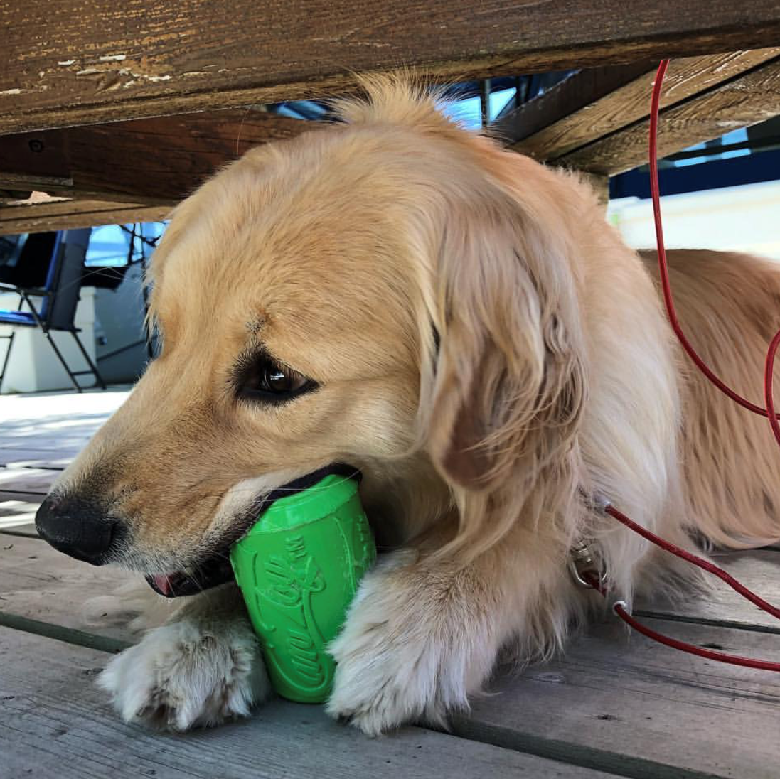 SodaPup Can Toy Rubber Chew Toy and Treat Dispenser