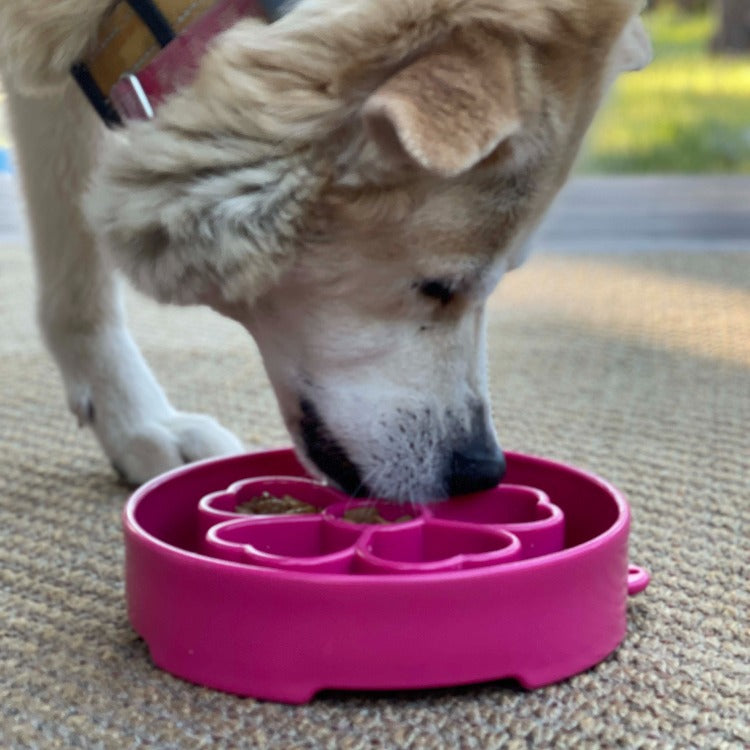 SodaPup Flower eBowl Deep Slow Feeder Dog Bowl