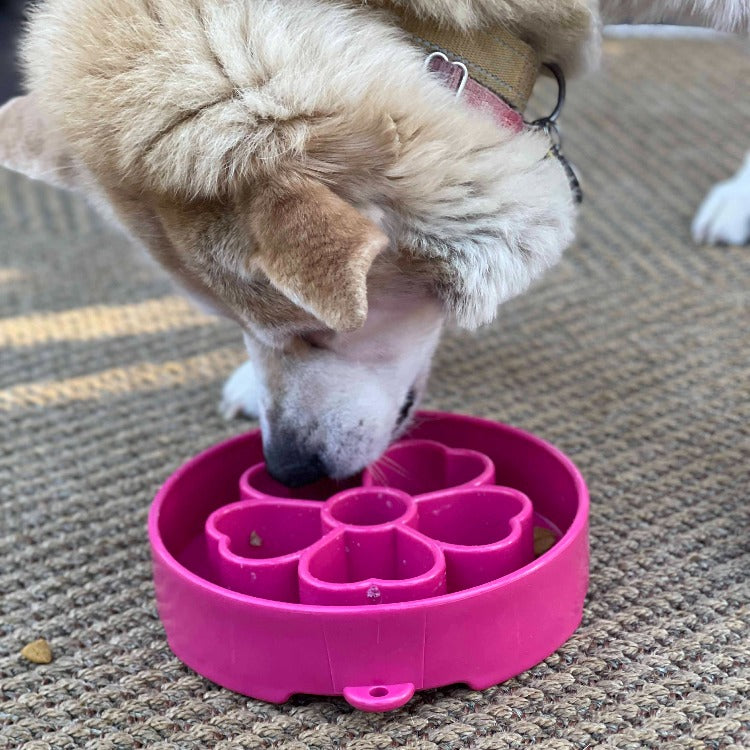 SodaPup Flower eBowl Deep Slow Feeder Dog Bowl