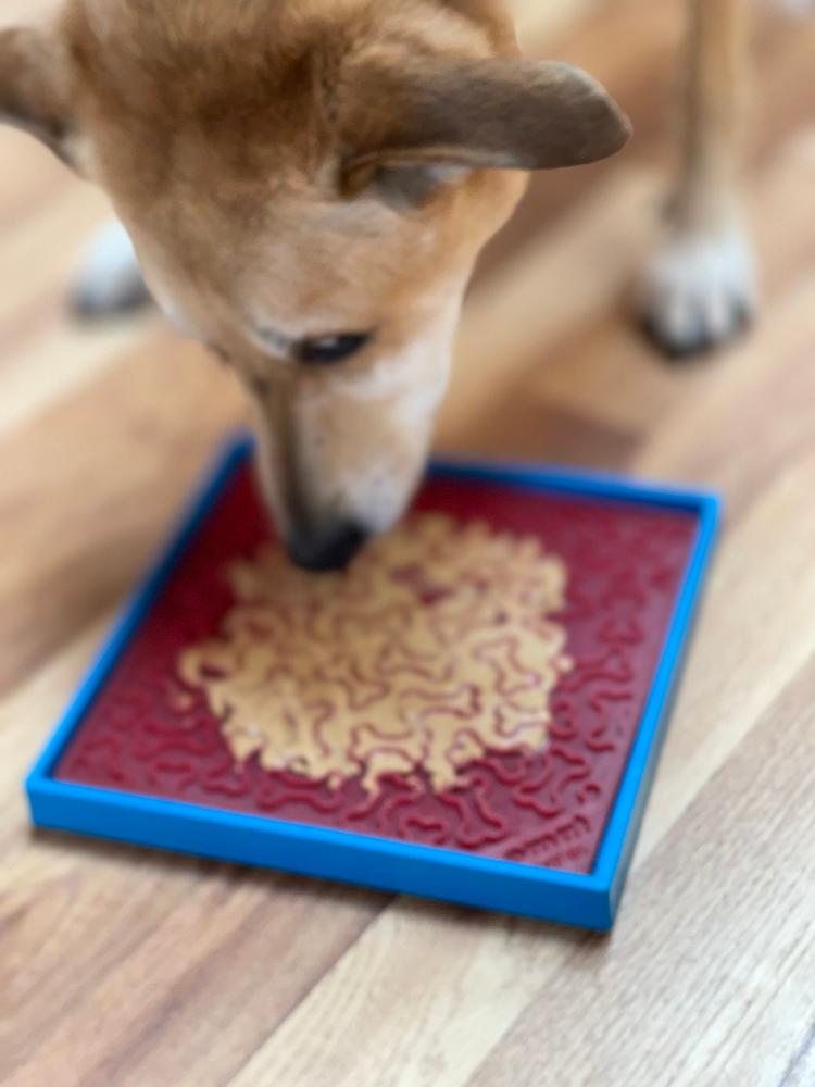SodaPup Hold 'em Suction Cup Holder for Bowls and Lick Mats