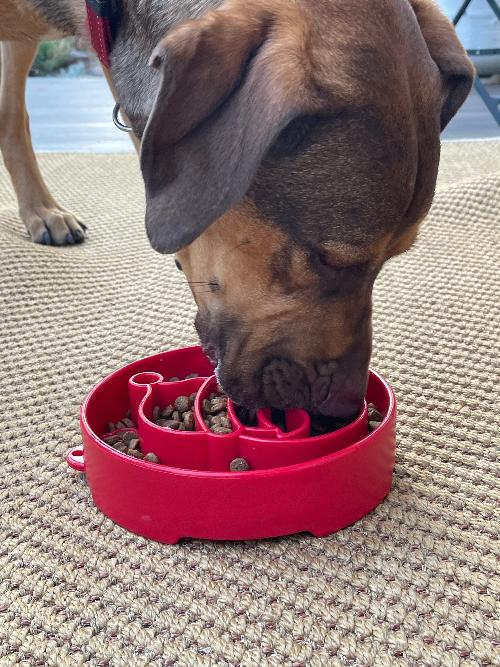 SodaPup Santa eBowl Christmas Slow Feeder Dog Bowl