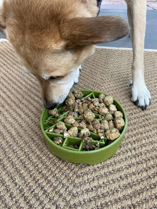SodaPup Pine Tree eBowl Christmas Slow Feeder Dog Bowl