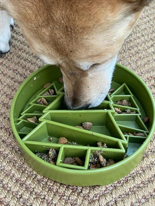 SodaPup Pine Tree eBowl Christmas Slow Feeder Dog Bowl