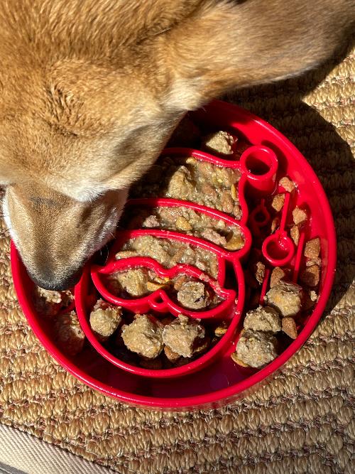 SodaPup Santa eBowl Christmas Slow Feeder Dog Bowl