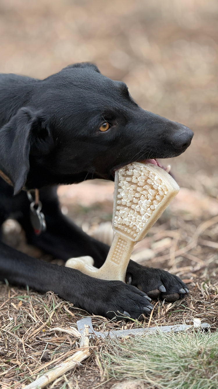 SodaPup Waffle Tower Nylon Chew and Lick Toy