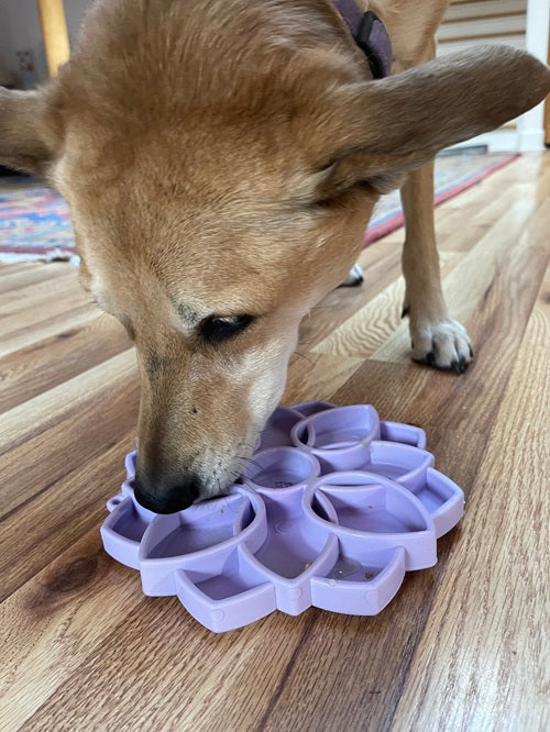 SodaPup Mandala Softie eTray Slow Feeder with Suction Cups
