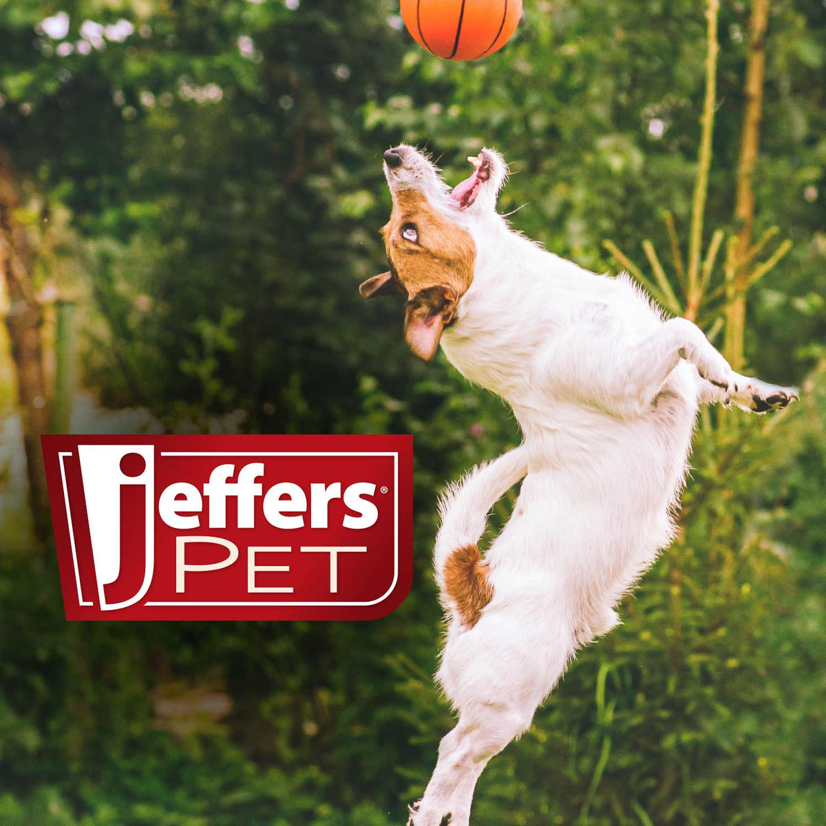 Jeffers Animal Fuzzies Plush Squeaker Dog Toy, 8 in
