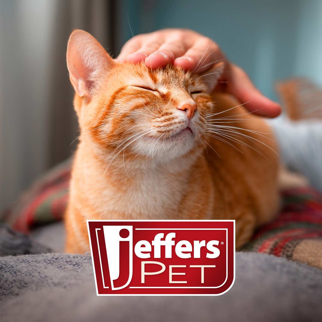Jeffers Dual-Level Pin Slicker Brush for Dogs & Cats