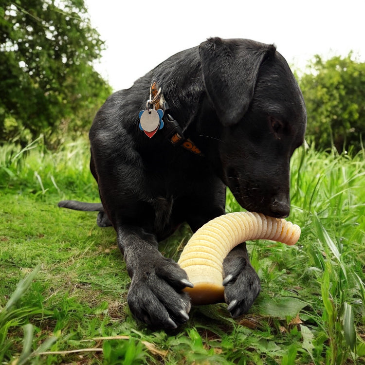 SodaPup Flufflehorn Antler Nylon Chew Toy, XL