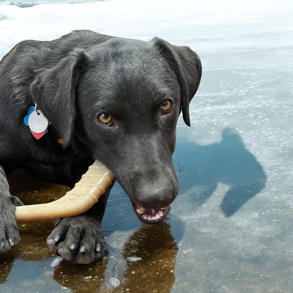 SodaPup Hockey Stick Nylon Chew Toy