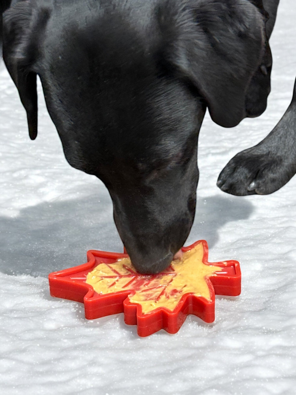 SodaPup Canadian Maple Leaf Nylon Lick and Chew Toy