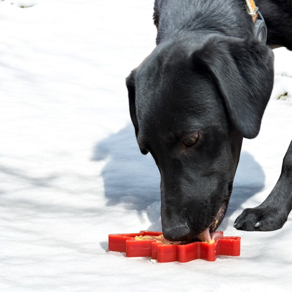 SodaPup Canadian Maple Leaf Nylon Lick and Chew Toy