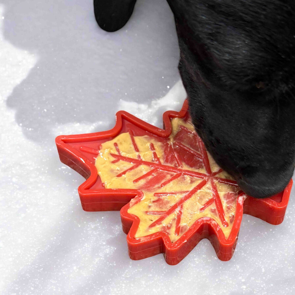 SodaPup Canadian Maple Leaf Nylon Lick and Chew Toy