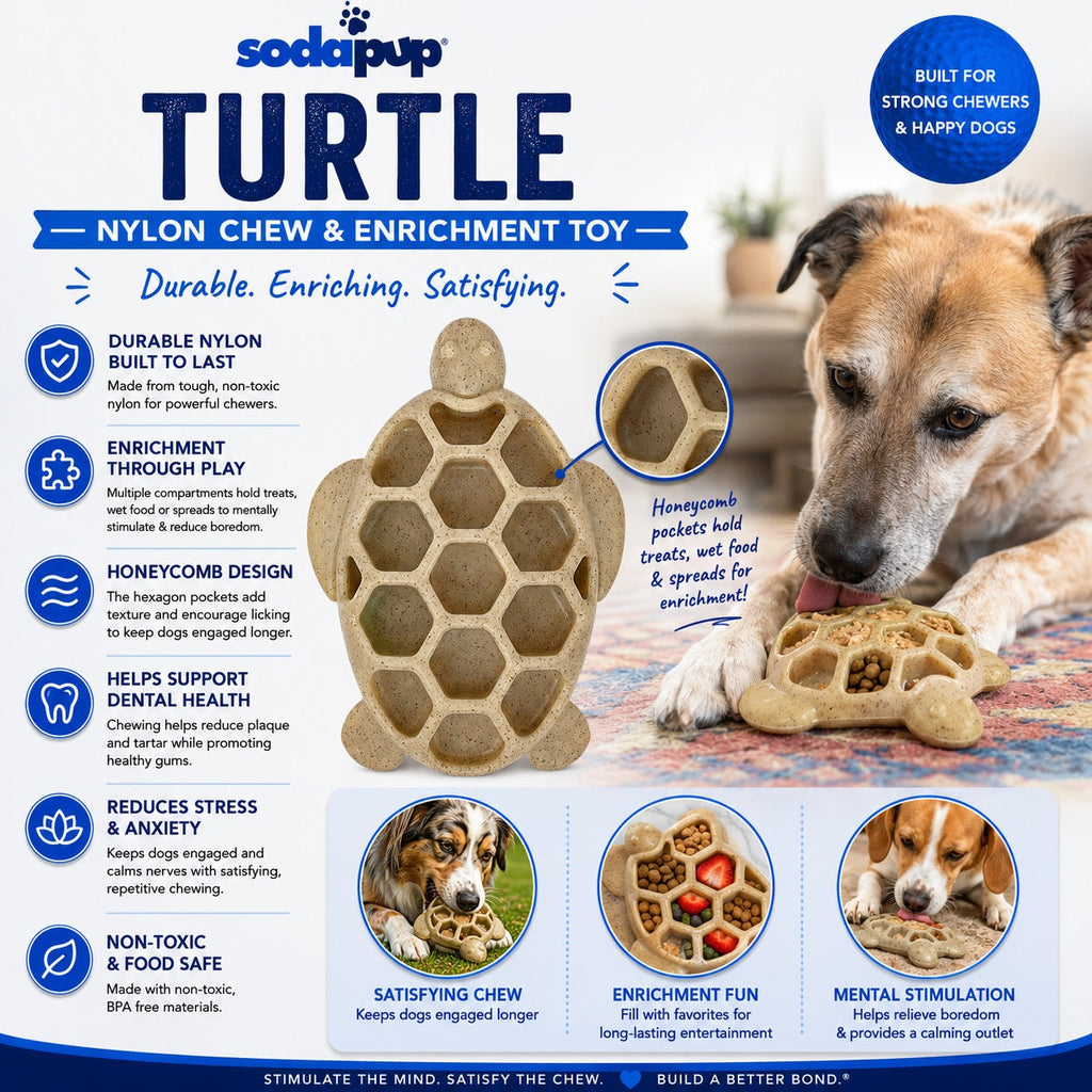 SodaPup Turtle eChew Nylon Chew Toy