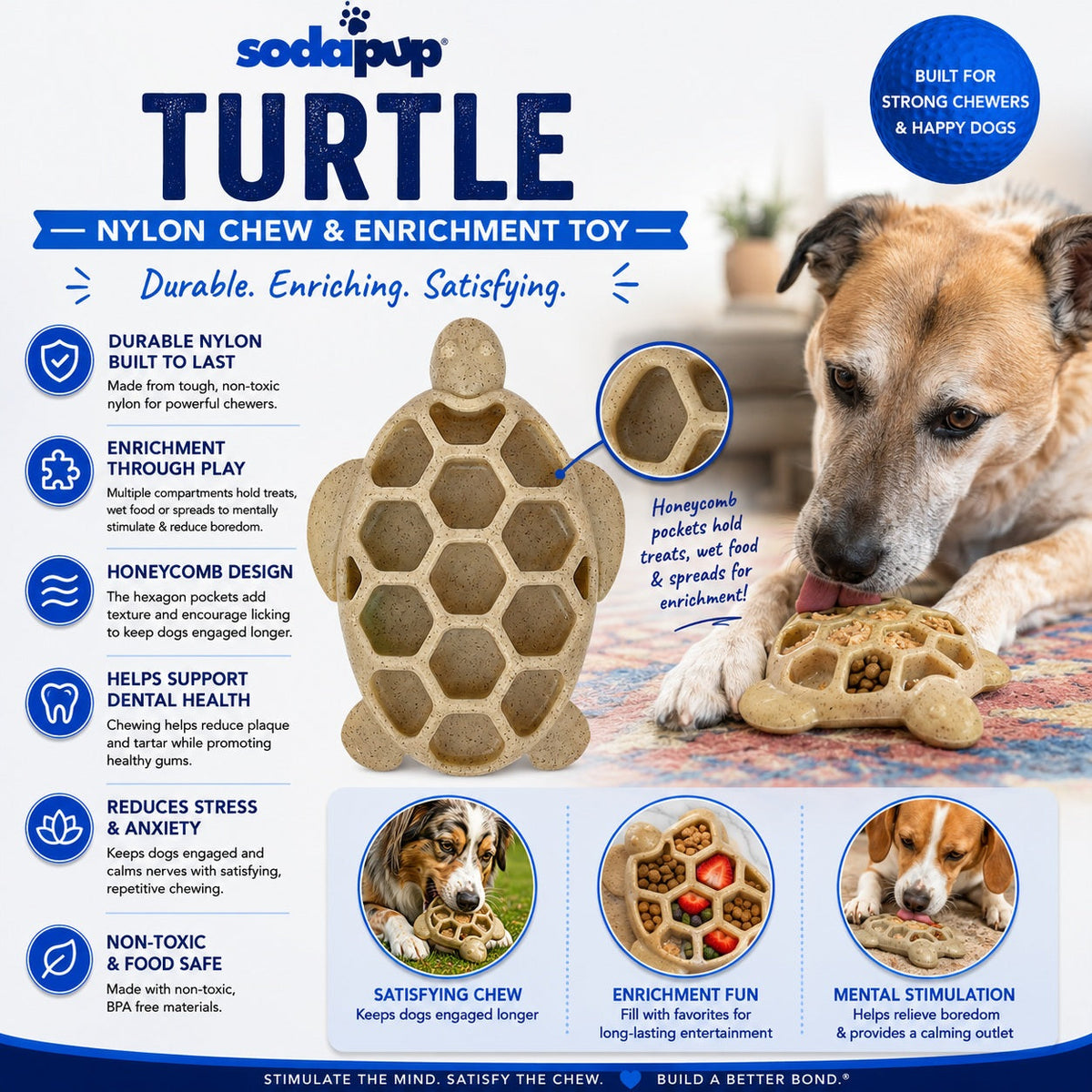 SodaPup Turtle eChew Nylon Chew Toy