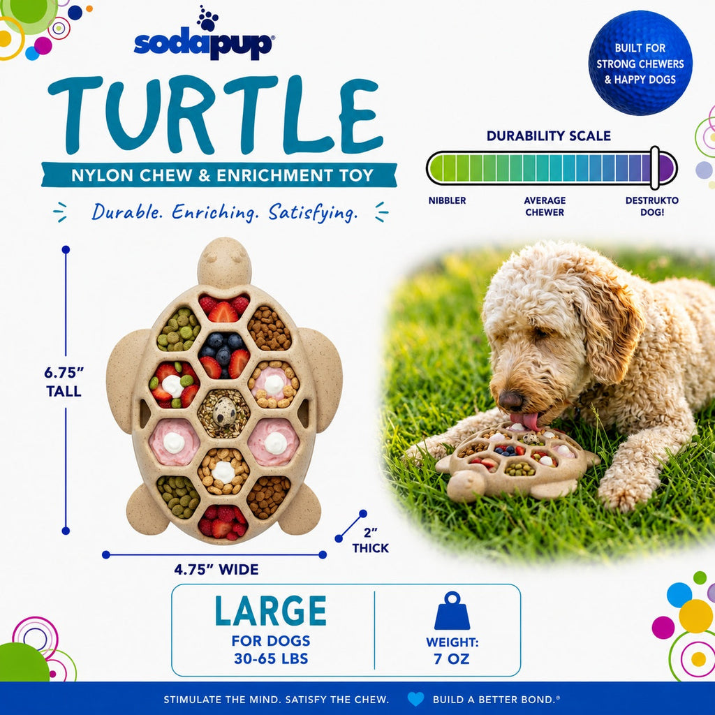 SodaPup Turtle eChew Nylon Chew Toy
