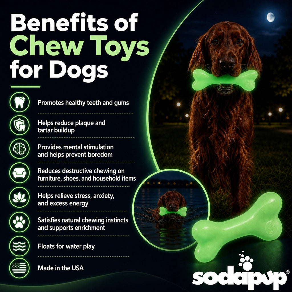 SodaPup PUP-X Glow in the Dark Rubber Bone, Large