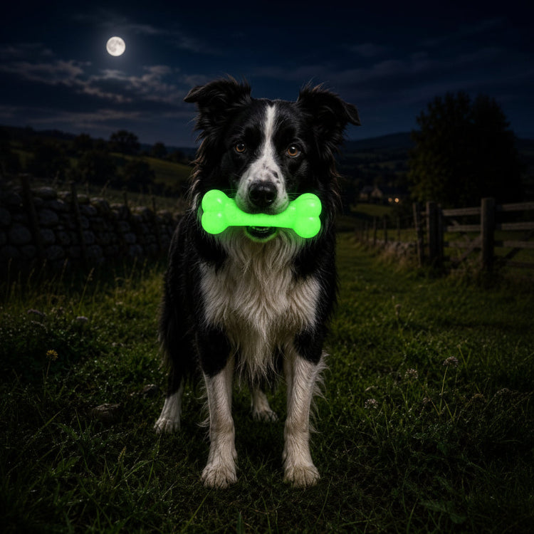 SodaPup PUP-X Glow in the Dark Rubber Bone, Large