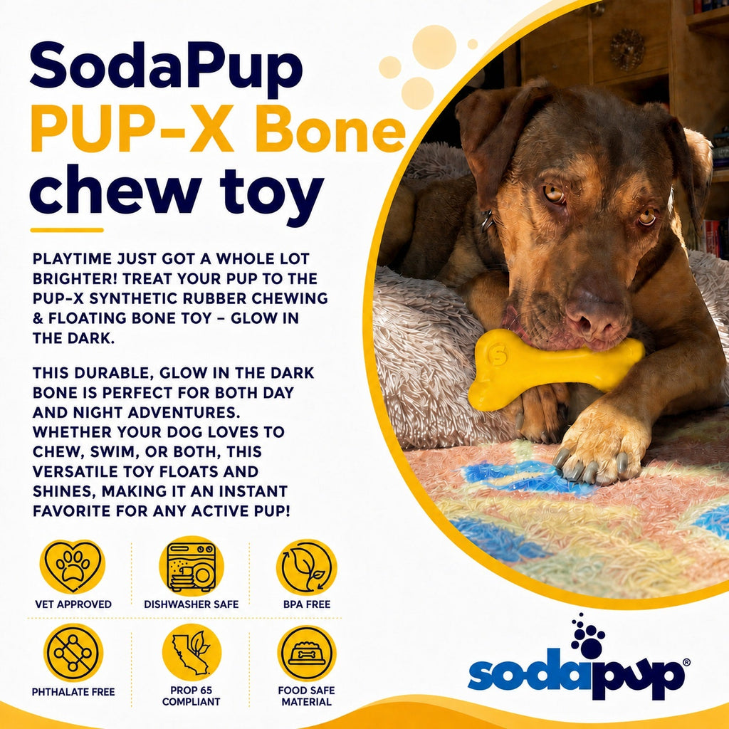 SodaPup PUP-X Rubber Bone Chew and Fetch Toy