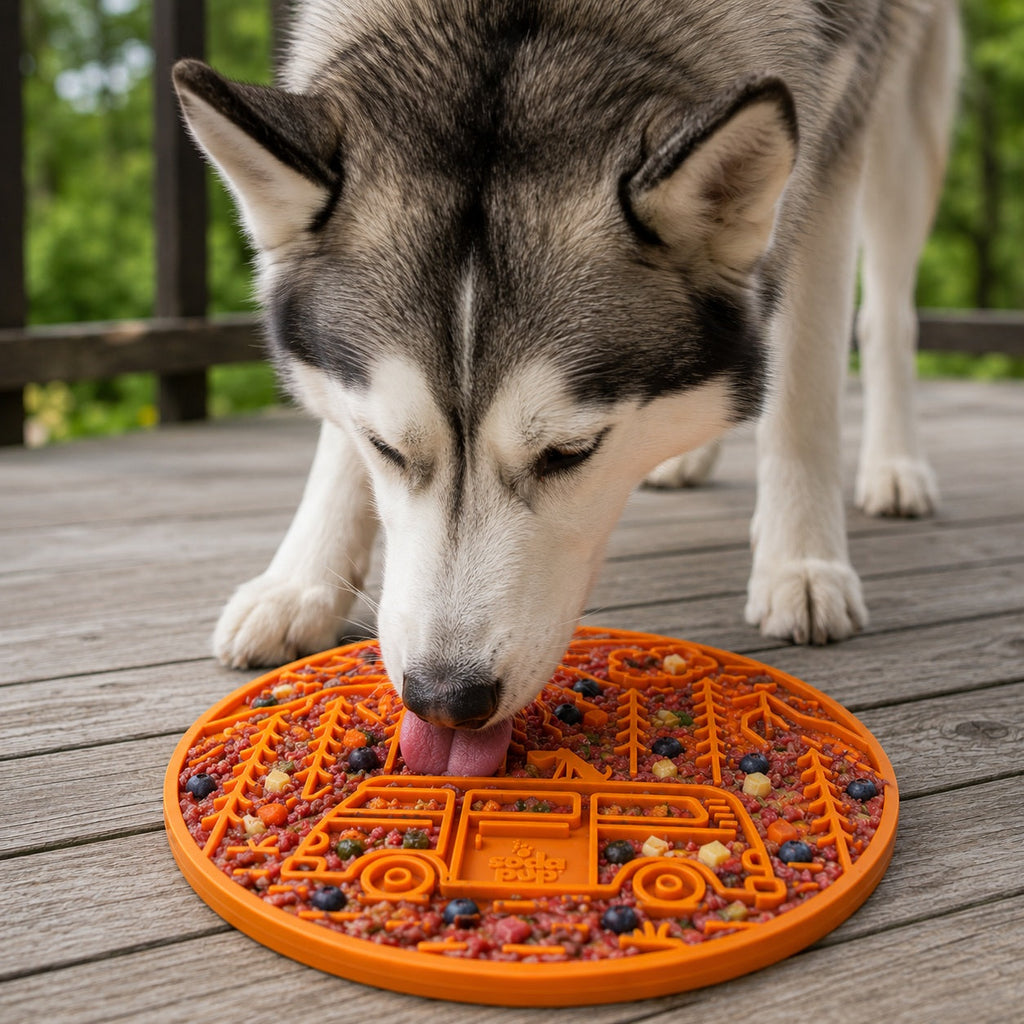 SodaPup Camp eMat Lick Mat with Suction Cups