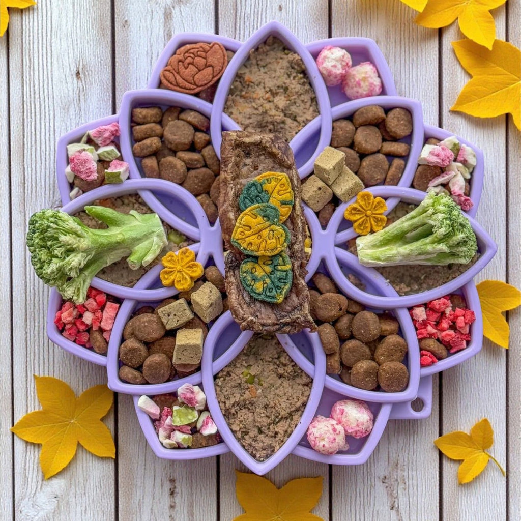 SodaPup Mandala Softie eTray Slow Feeder with Suction Cups