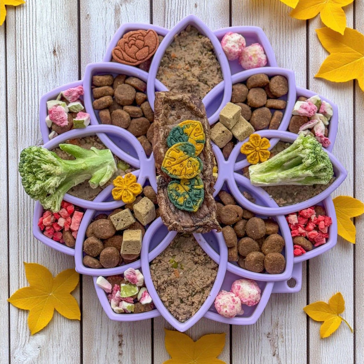 SodaPup Mandala Softie eTray Slow Feeder with Suction Cups