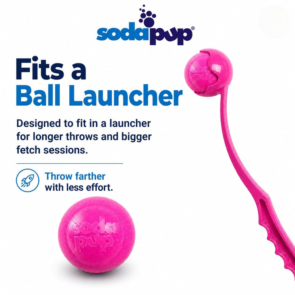 SodaPup Princess Pack: Pink Glitter Ball and Unicorn Horn Chew