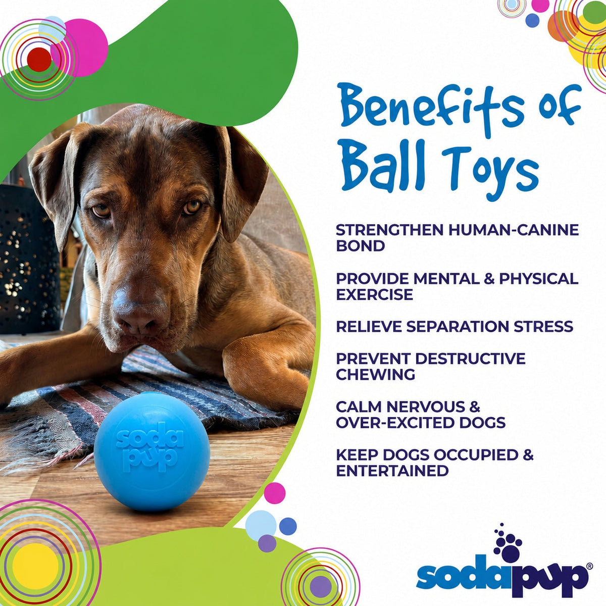 SodaPup PUP-X Squeak Ball Rubber Dog Toy